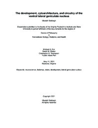 electronics engineering thesis Thumbnail