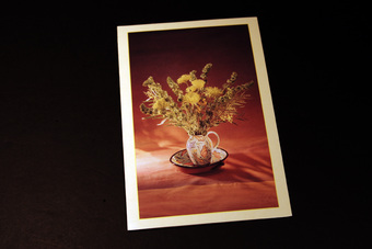 Thumbnail Image