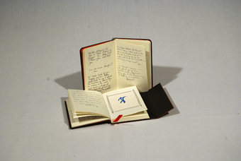 Thumbnail Image