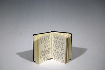 Thumbnail Image